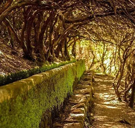 Feliz * Paul do Mar (Madeira)