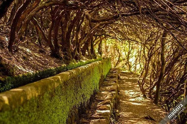 Feliz * Paul do Mar (Madeira)